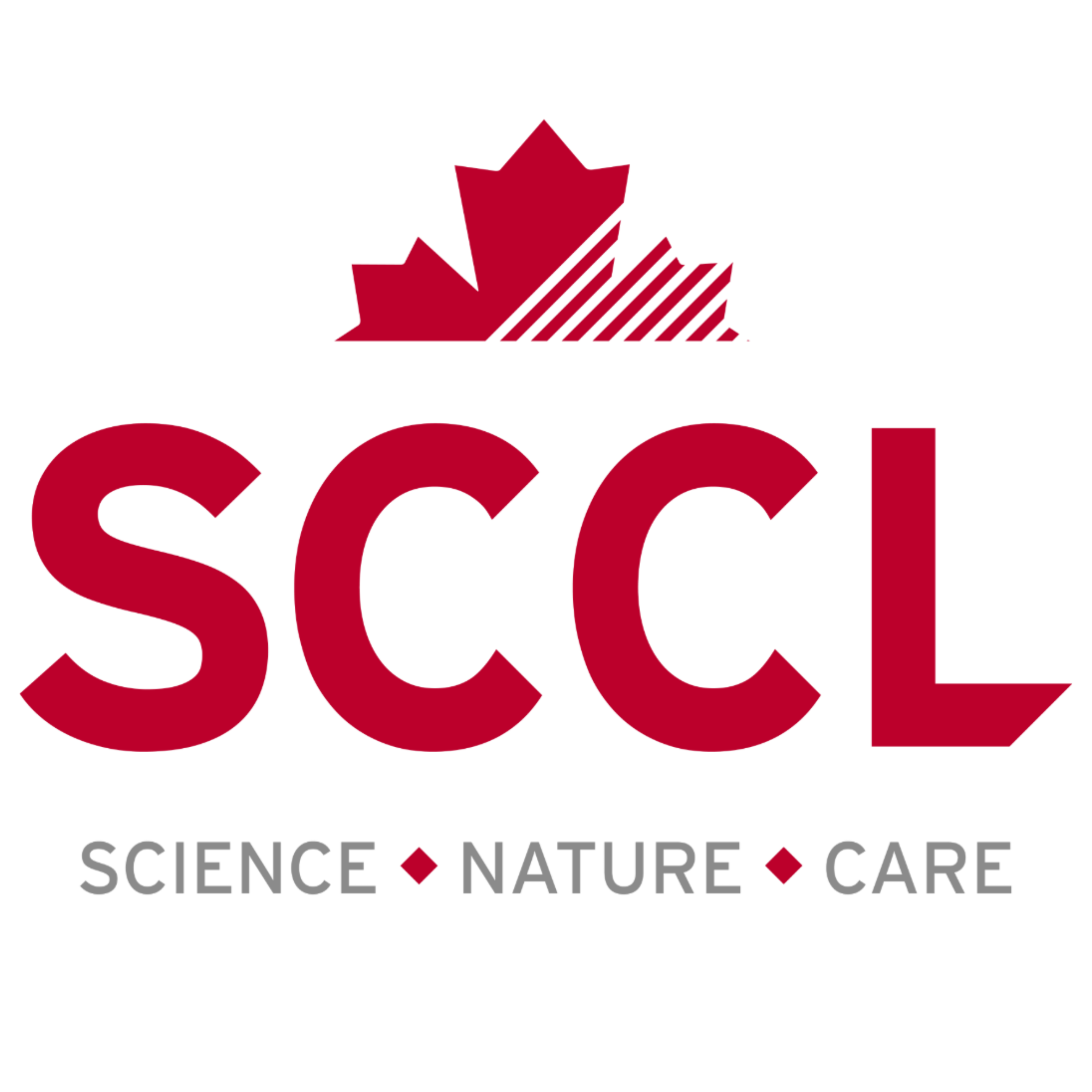 SCCL Logo